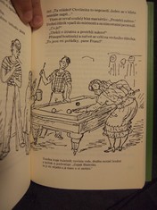 náhled knihy - 