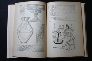náhled knihy - 