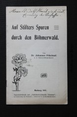náhled knihy - Auf Stifters Spuren durch den Böhmerwald