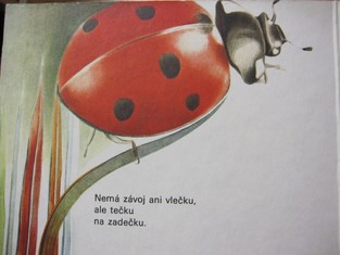 náhled knihy - 
