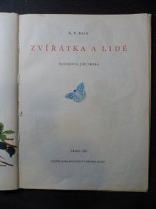 náhled knihy - 