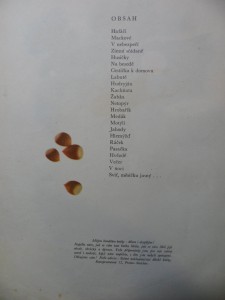náhled knihy - 
