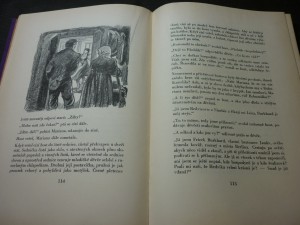 náhled knihy - 