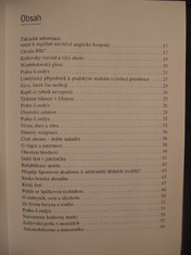náhled knihy - 