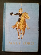 náhled knihy - Malý lord : Povídka pro mládež