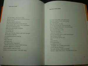 náhled knihy - 