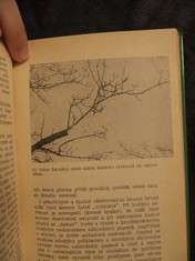 náhled knihy - 