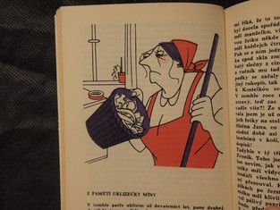 náhled knihy - 