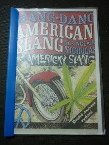 náhled knihy - wang-dang:american slang