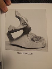 náhled knihy - 