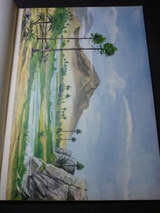 náhled knihy - 