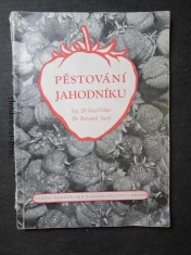 náhled knihy - Pěstování jahodníku