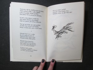 náhled knihy - 