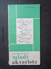náhled knihy - Mladý akvarista