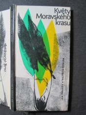 náhled knihy - Květy Moravského krasu