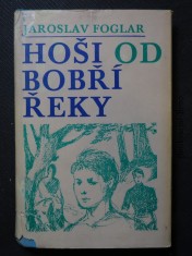 náhled knihy - Hoši od Bobří řeky