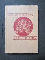 náhled knihy - Lesní plody : Jejich sběr a zužitkování