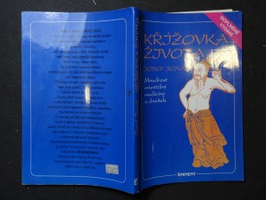 náhled knihy - Křížovka života : moudrost orientální medicíny a dnešek
