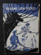 náhled knihy - Hrajeme lední hockey