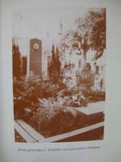 náhled knihy - 