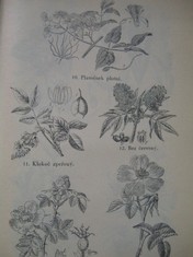 náhled knihy - 