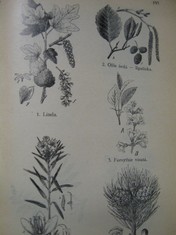 náhled knihy - 