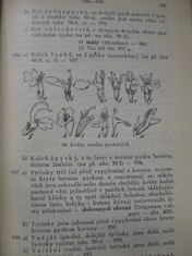 náhled knihy - 
