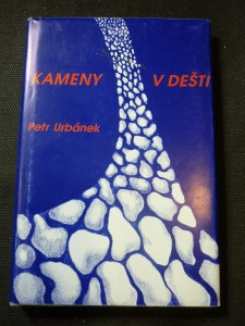 náhled knihy - Kameny v dešti