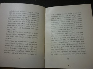 náhled knihy - 
