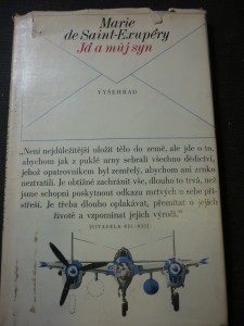 náhled knihy - Já a můj syn : [Antoine de Saint-Exupéry