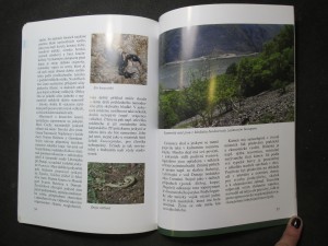 náhled knihy - Příroda a krajina v okolí Svaté Heleny