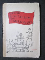 náhled knihy - Socialism pro milionáře