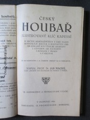 náhled knihy - 