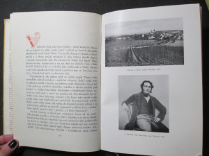 náhled knihy - 