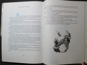 náhled knihy - 