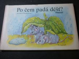 náhled knihy - Po čem padá déšť?