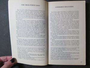 náhled knihy - 