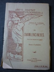 náhled knihy - Dva milenci nebes : drama o třech jednáních