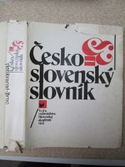 náhled knihy - Česko - slovenský slovník