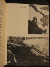 náhled knihy - 