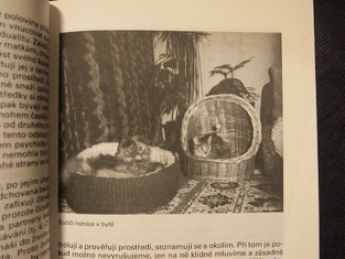 náhled knihy - 