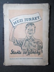 náhled knihy - Mezi junáky : příručka vedoucím i rádcům pro první kroky v junáctví