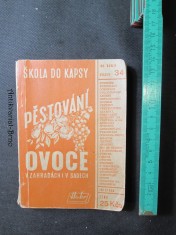 náhled knihy - Pěstování ovoce v zahradách i v sadech : Praktické rady pro novodobé pěstění jakostního ovoce v zahrádkách i v plantážích