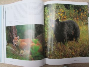 náhled knihy - Národní parky a divoká příroda Kanady