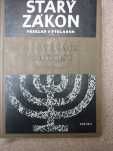 náhled knihy - Starý zákon 14-dvanáct proroků