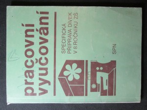 náhled knihy - Pracovní vyučování. Specifická příprava dívek v 8. ročníku ZŠ