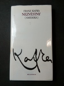 náhled knihy - Nezvěstný : Amerika