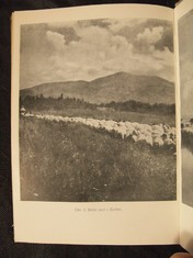náhled knihy - 