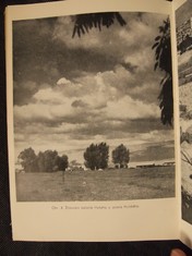 náhled knihy - 