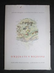 náhled knihy - Pasáček a sluníčko